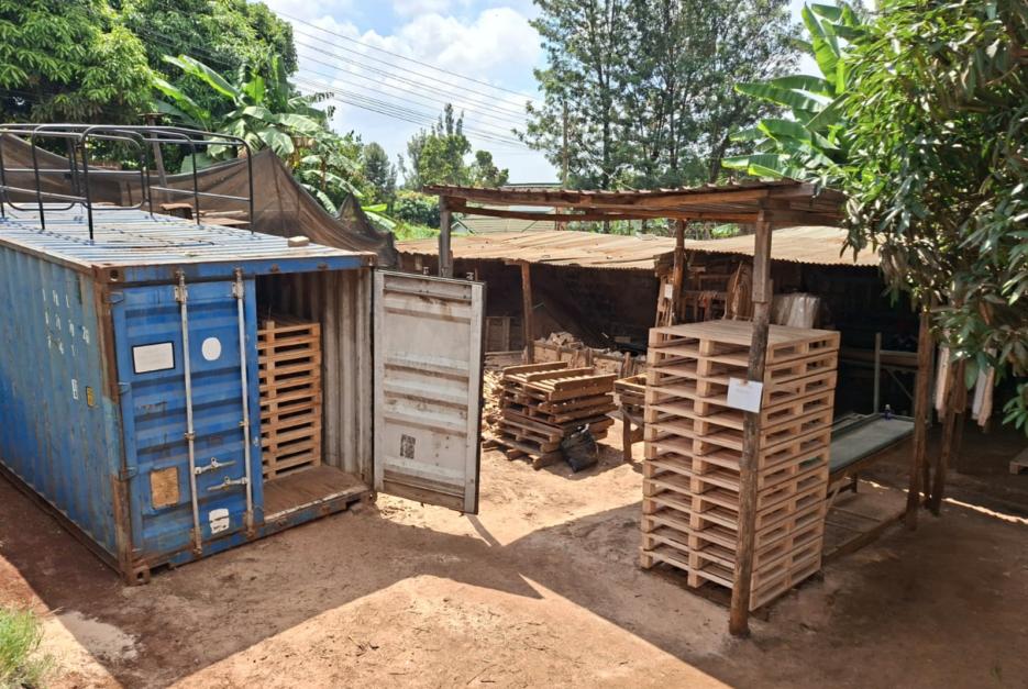 Sasfino's heat treatment kiln, a converted shipping container in the timber yard